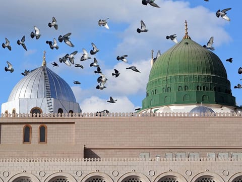  The ministry said no timings are set for performing the obligatory prayers at the Prophet Mosque.