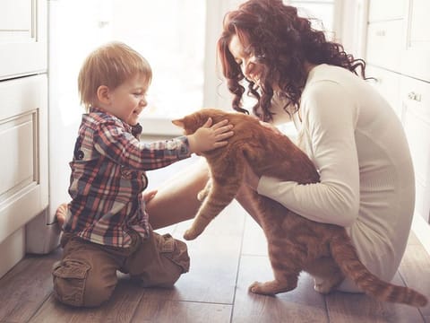 One of the chief considerations when deciding on a pet is your family structure and lifestyle. 