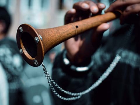 The shehnai is a north Indian oboe