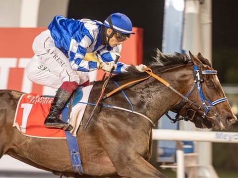 
LOOK! Plenty of thrills during a busy week of quality horse racing in the UAE
