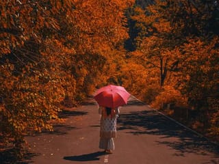 Autumn: The most magical season of Kashmir