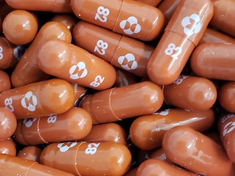 An experimental COVID-19 treatment pill called molnupiravir being developed by Merck & Co Inc and Ridgeback Biotherapeutics LP, is seen in this undated handout photo released by Merck & Co Inc and obtained by Reuters May 17, 2021