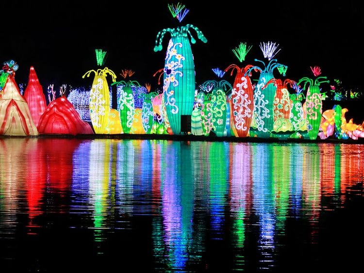 Dubai Garden Glow