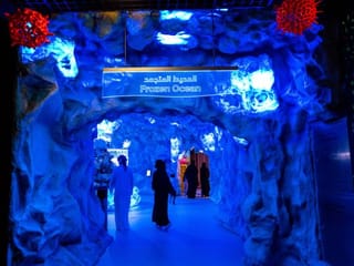 From the Editors: The National Aquarium – yet another feather in UAE’s cap