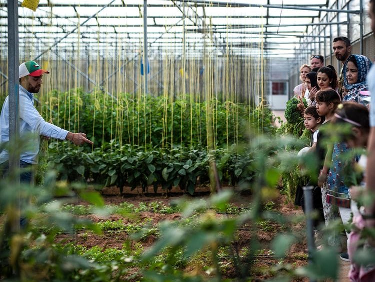 Emirates Bio Farm