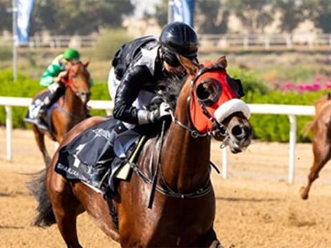 AF Yakhtem, ridden by Tadhg O’Shea 