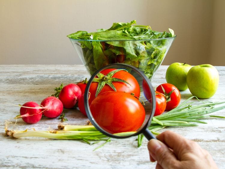 Food production UAE