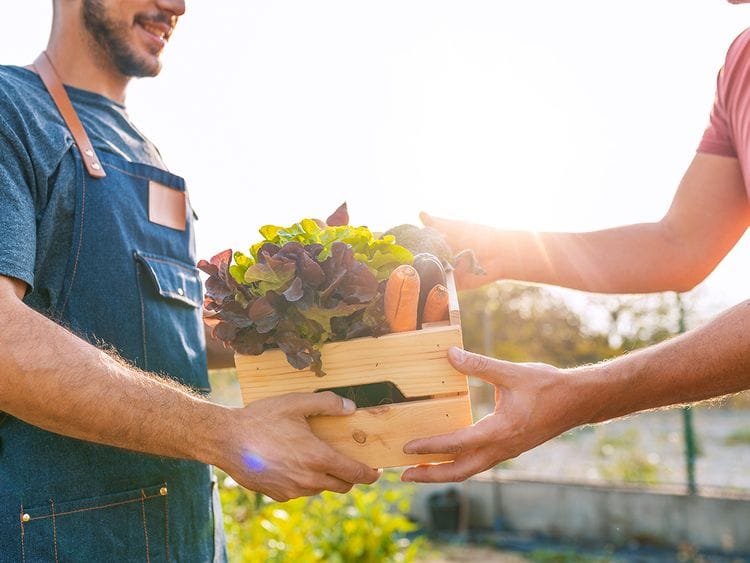 Food production UAE
