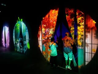 Mitate art, omotenashi, conveyor belt sushi: Your guide to Japan Pavilion at Expo 2020 Dubai
