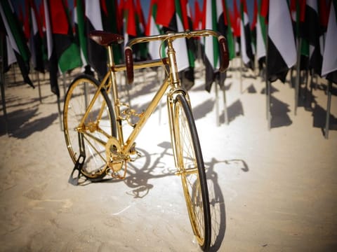 The John Thomson-designed gold-plated bicycle.