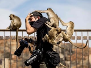 Top 10 pictures of the week from around the world