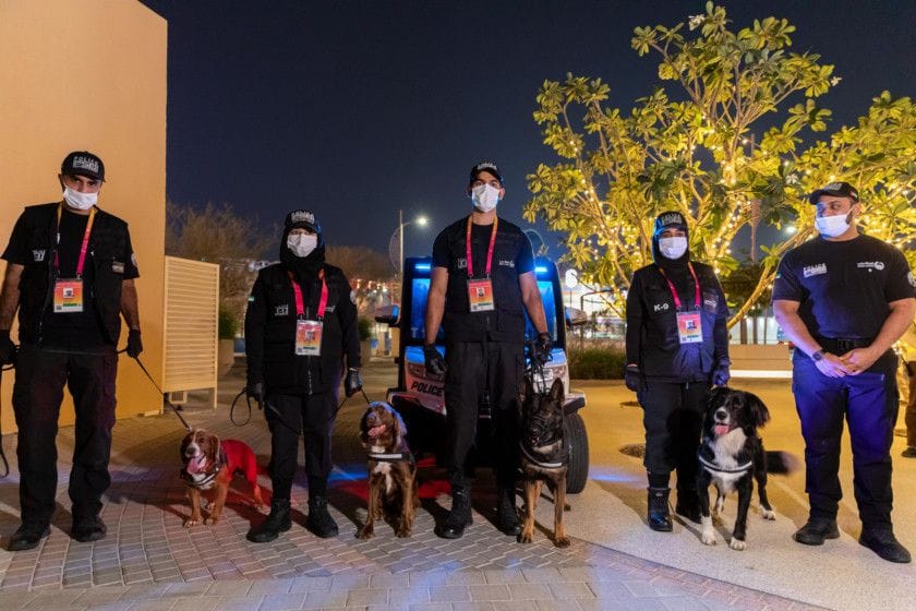 K9-1639301276321