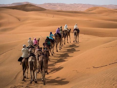 29 people from 21 countries have joined the journey across the sands in the UAE