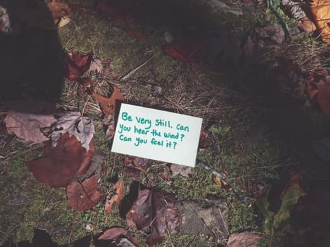 Handwritten note: I sighed with her because I understood her