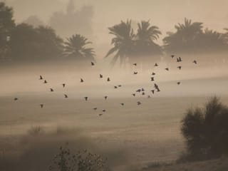 Look: Cloudy skies, sunrise, sunset and full moon in Dubai and Sharjah