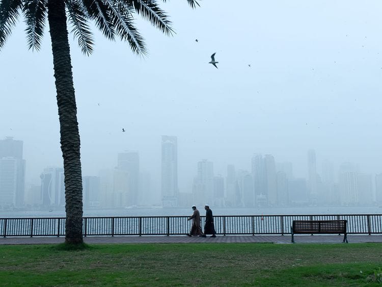 STOCK WEATHER FOG