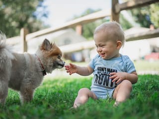 Pets travel guidelines and requirements for UAE residents to read before leaving the country