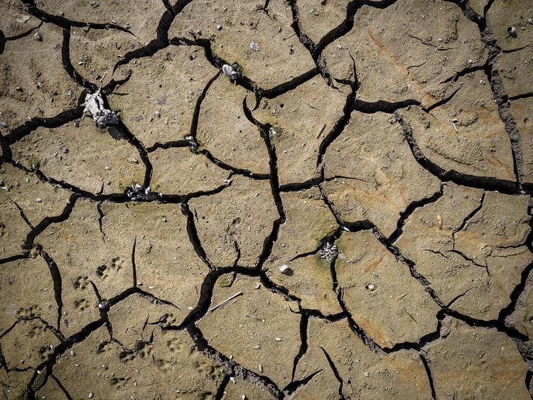 CLIMATE PIC