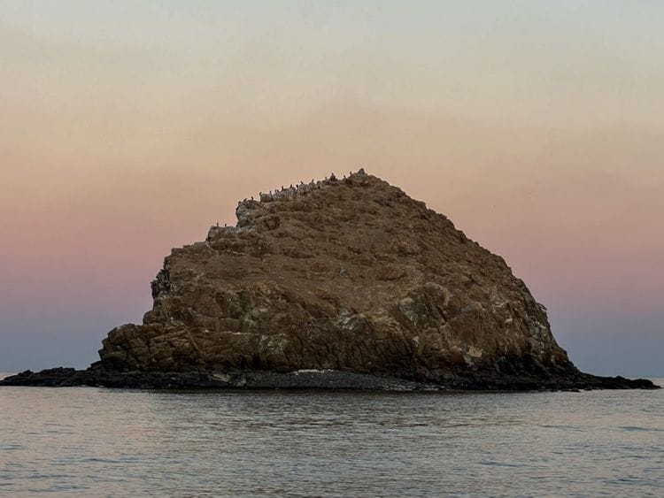 NAT 220110 FUJAIRAH WINTER - SCUBA ARAMZAN-1-1642828691966