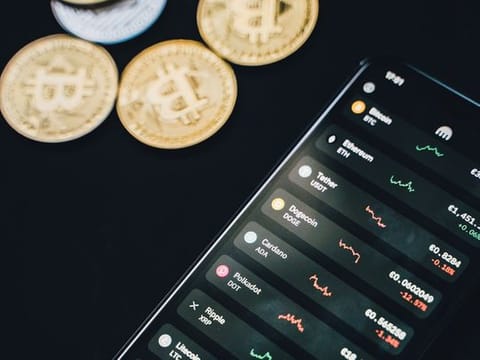 When it comes to cryptocurrencies, how can you determine which ones are the best bets right now?