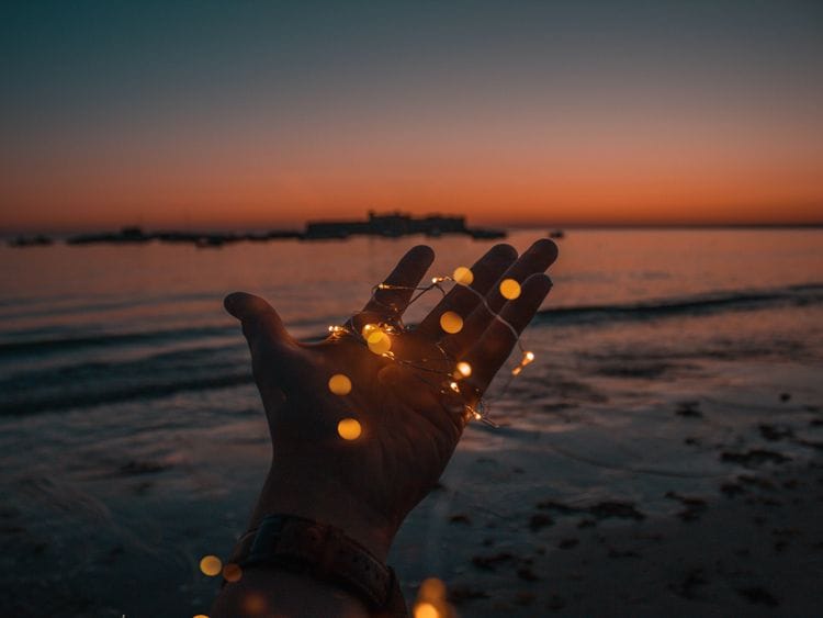 dreams