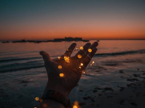 You topple out of your revere as the sun pries your eyes open with fingers that ache your pupils