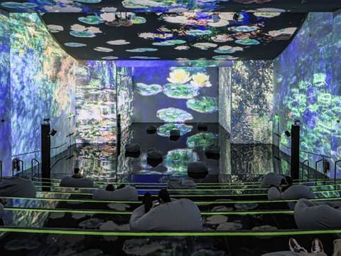 Theatre of Digital Art (ToDA) Dubai is 'a multi-sensory, multi-media immersive exhibition'
