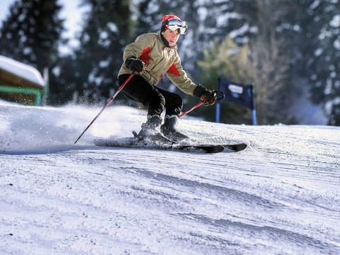  Some of the winter sports attractions in Gilgit-Baltistan are the snow marathon in Khunjerab, skiing in Naltar and Astore and ice hockey in Hunza.  