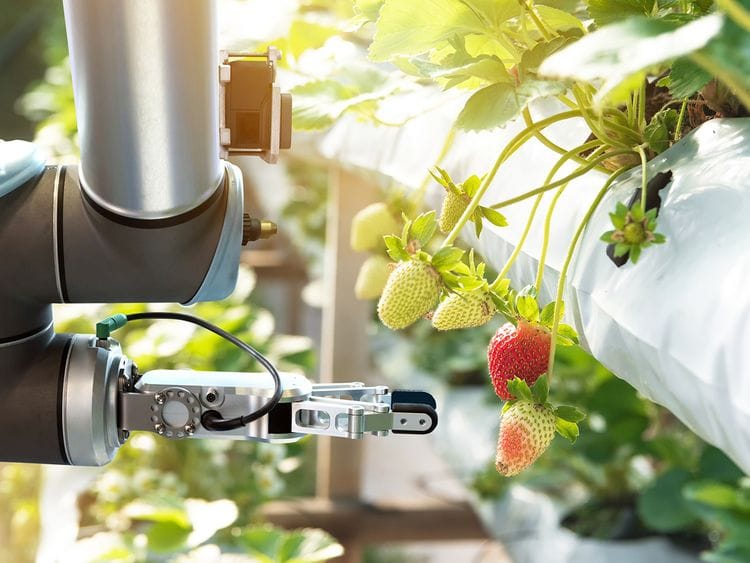 Food-for-future-summit-for-web