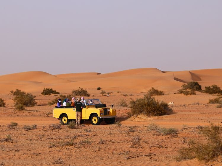 Desert Safari 