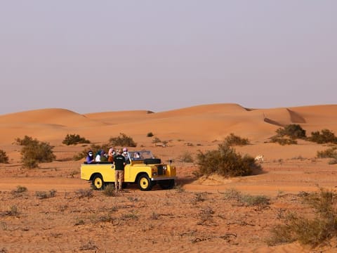 Tourists stop their desert cruise to take a look at a gazelle 