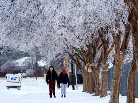 People walk on a sidewalk along a busy road where the canopies on the trees were frozen over after a winter storm that moved in overnight in Richardson, Texas. 