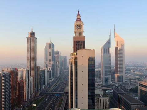 In the UAE and the Emirate of Dubai, we are proud of these centres, programmes and initiatives launched globally