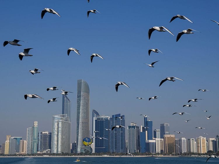 STOCK ABU DHABI SKYLINE