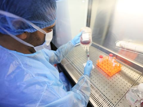 Stem cells are raw primary cells available in the bone marrow, and they produce all types of blood cells, including red and white blood cells and platelets