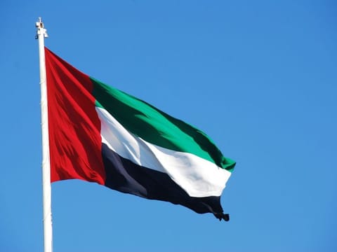 The UAE was represented by students teams for the Biology, Chemistry, Physics and Mathematics Olympiads