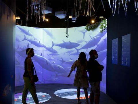  Expo 2020 Dubai to explore water conservation in final week