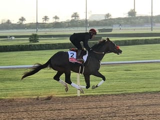 Watch: Dubai World Cup looks a breeze for Hot Rod Charlie at Meydan