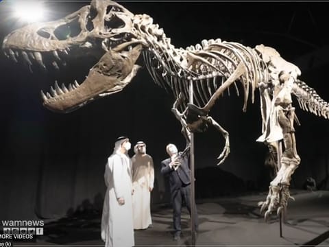 A famous dinosaur fossil will be on display from April 6 at a new exhibition on Manarat Al Saadiyat, providing a glimpse of what the planned Natural History Museum Abu Dhabi will offer