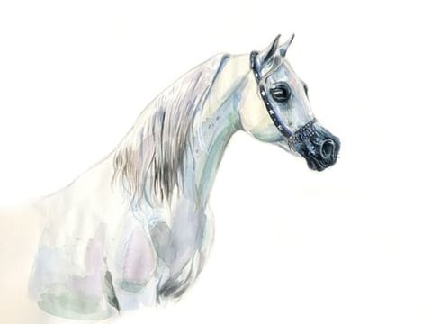 If we know ourselves, we know our Arabian horse