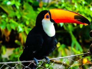 Reader's photo essay: 'Jungle safari' in Green Planet, Dubai