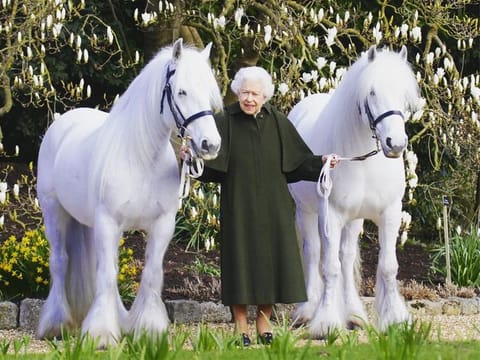British Queen Elizabeth II holds her Fell ponies, Bybeck Nightingale (right) and Bybeck Katie in this handout picture released on April 20, 2022 by The Royal Windsor Horse Show to mark the occasion of her 96th birthday.  