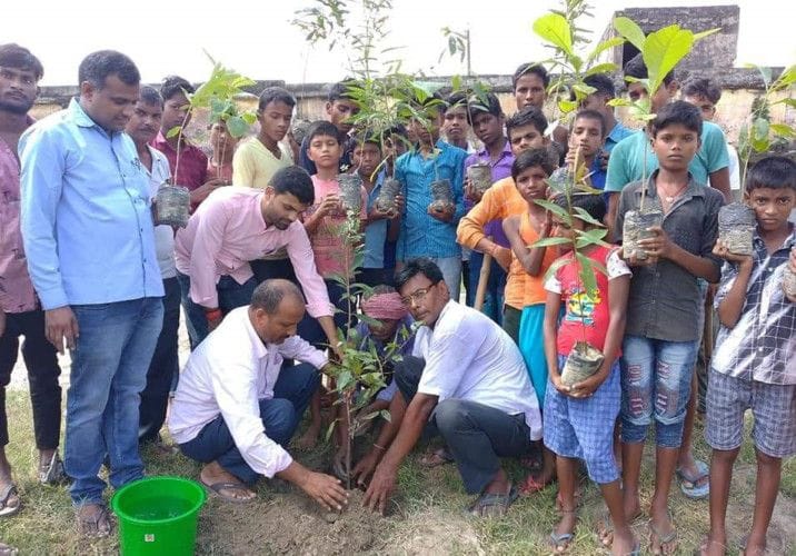 tree plants-1650637367935