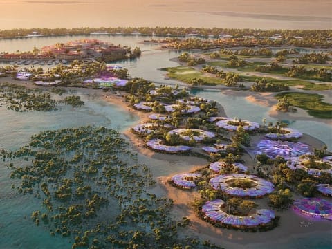 The Red Sea project represents one of the handful of Saudi Arabia's never-attempted-before transformation of its tourism and travel prospects. 