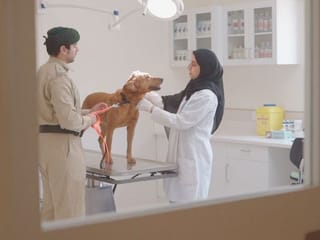 In pictures: Meet the Dubai Police K9 Unit