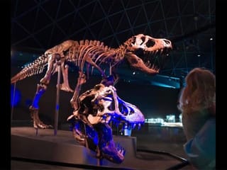 Why Abu Dhabi’s upcoming Natural History Museum is a big deal
