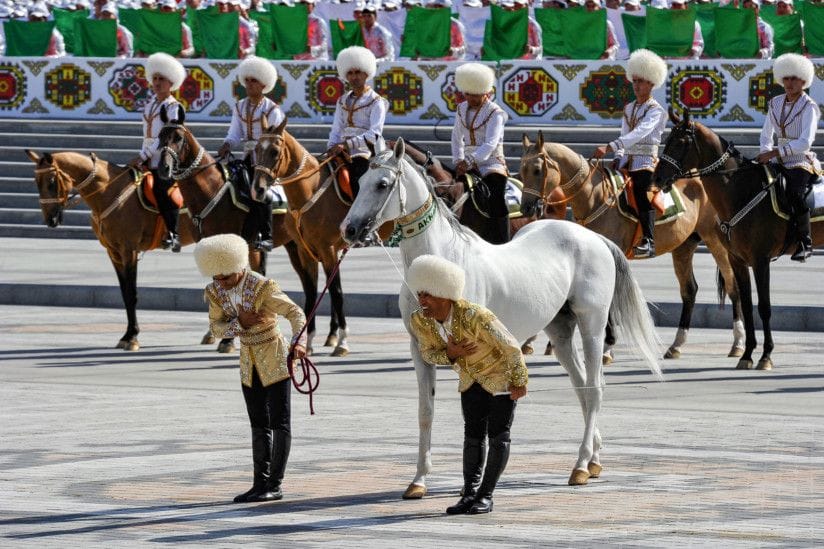 horse-1653309075027