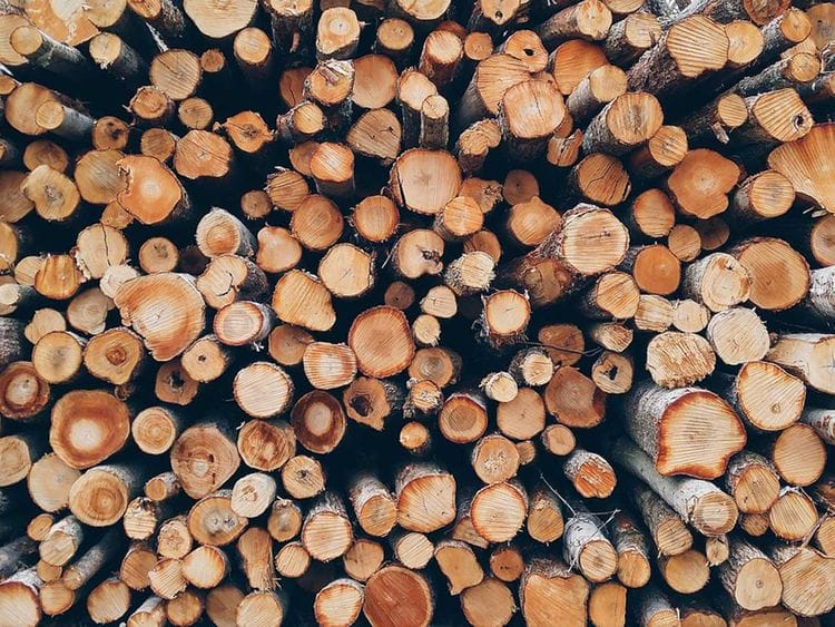 firewood