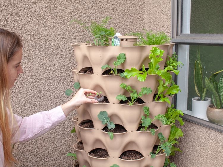 Vertical garden balcony 