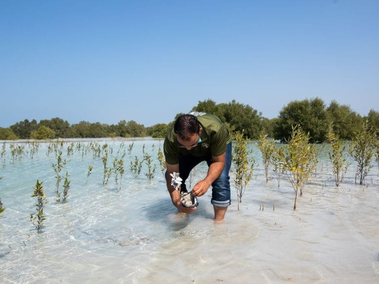 NAT Mangrove planting2-1654837268604